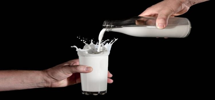 Gobierno de AMLO aumenta precio de garantía de la leche