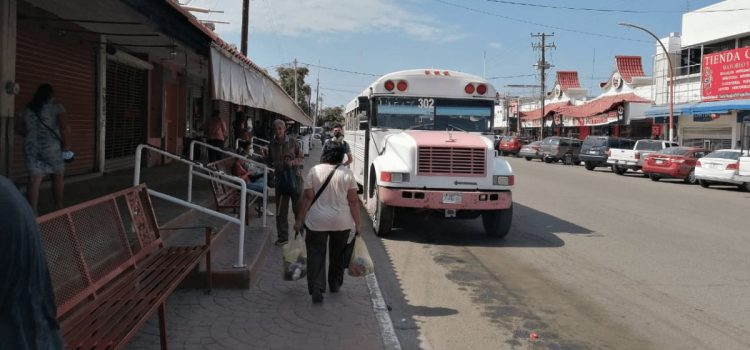 Vigilantes del Transporte en Navojoa piden más camiones