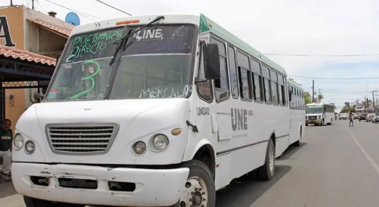 Esta es la fecha tentativa para la llegada de Camiones Urbanos al municipio de Navojoa