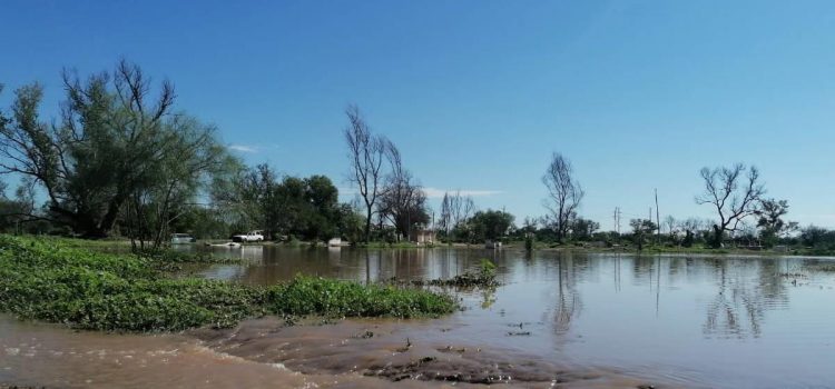 Salud Municipal de Navojoa informo que el Agua del Río Mayo está contaminada
