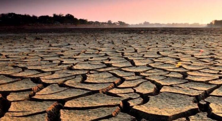 Sin municipios en condición de sequía extrema en Sonora