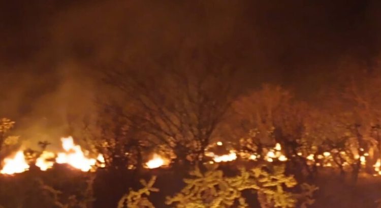 Arrasa fuego con 300 hectáreas de pastizales en Valle del Yaqui