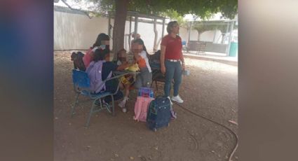 Alumnos estudian bajo un árbol por falta de luz en escuela del municipio de Navojoa