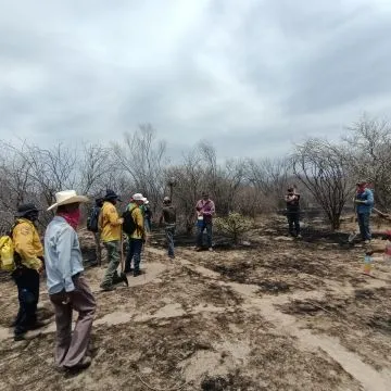 Apagan incendio forestal en municipio de Navojoa