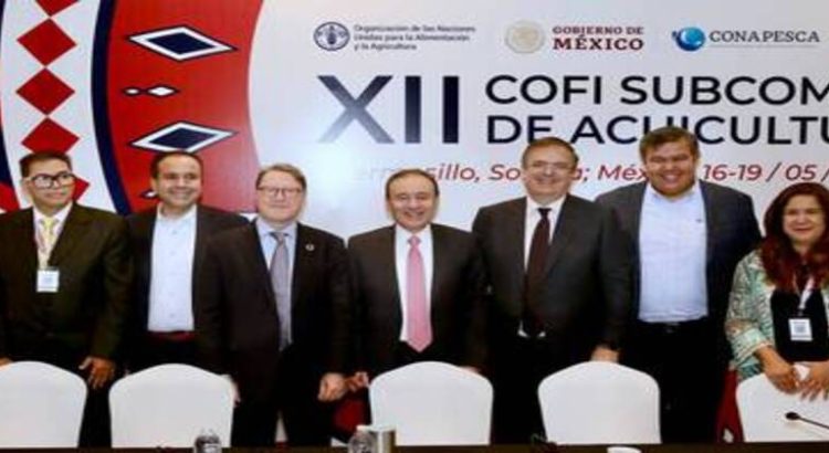 Plan Sonora contribuirá a la seguridad alimentaria de México