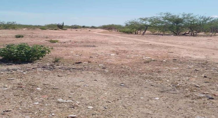 Inclumple CFE con habitantes de Sirebampo en Navojoa