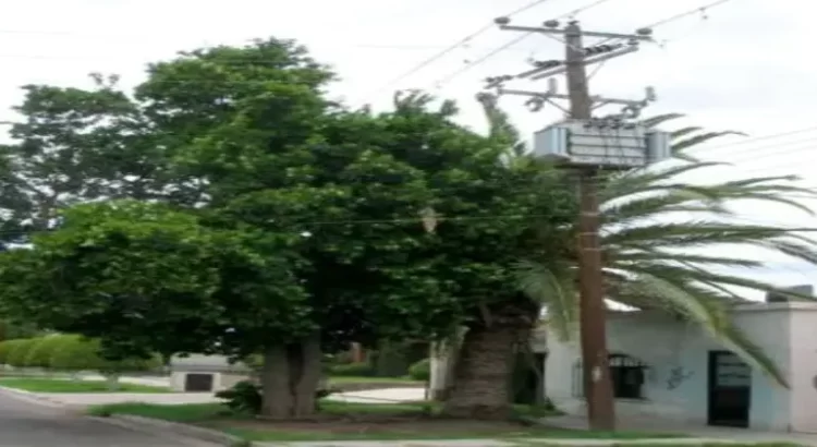 Se quejan de más apagones de luz en Navojoa