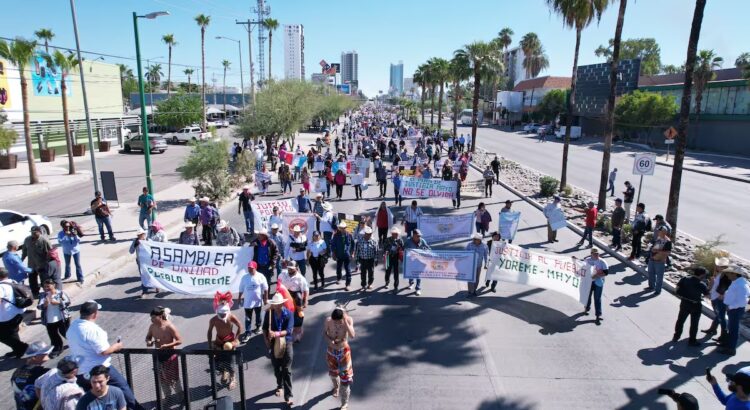 Dejarán operar a galleros en Sonora